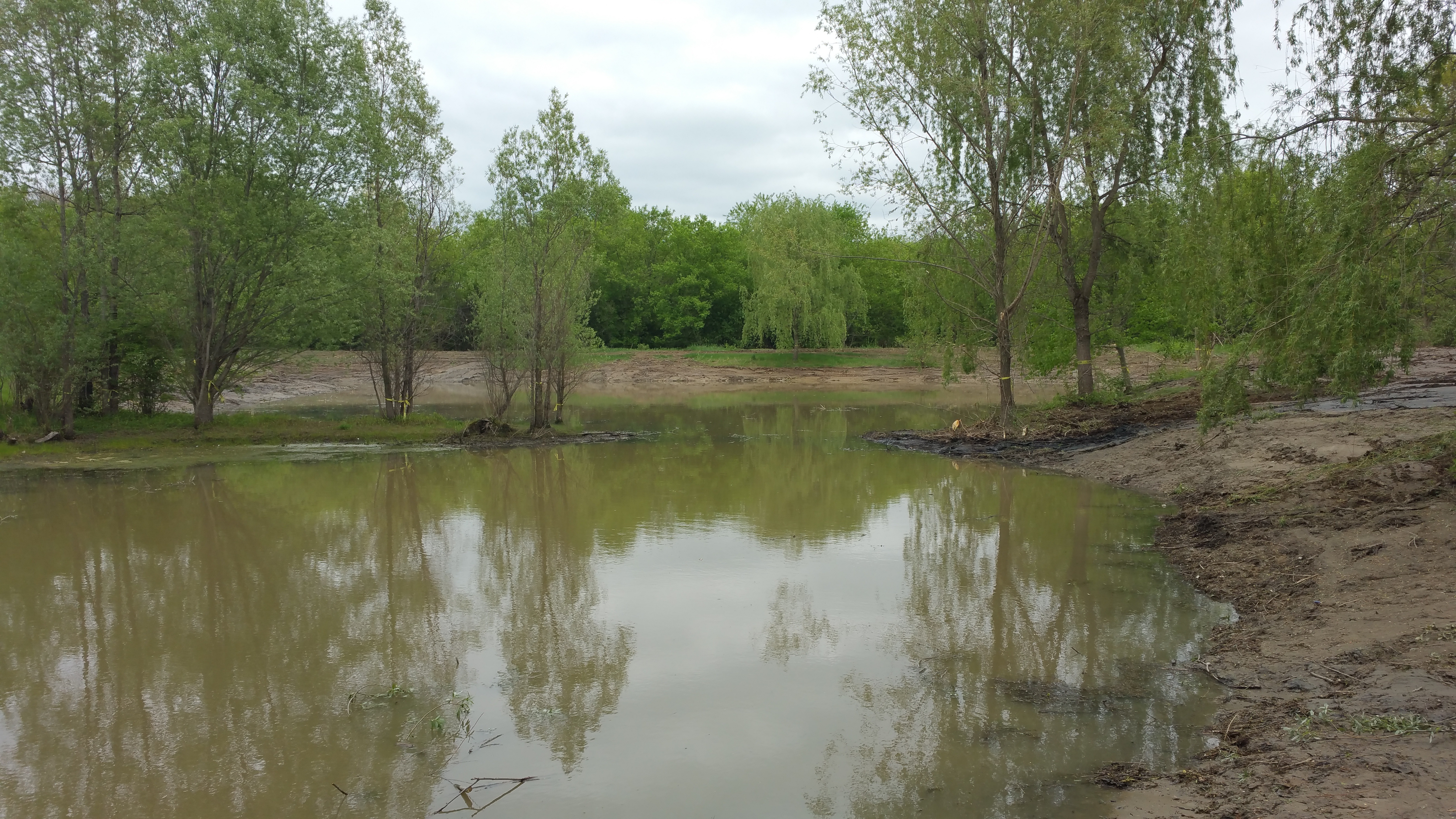 Ann Arbor, Michigan Retention Pond Fix
